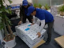 惠州装卸搬运工与仓储服务 高效物流的核心支撑